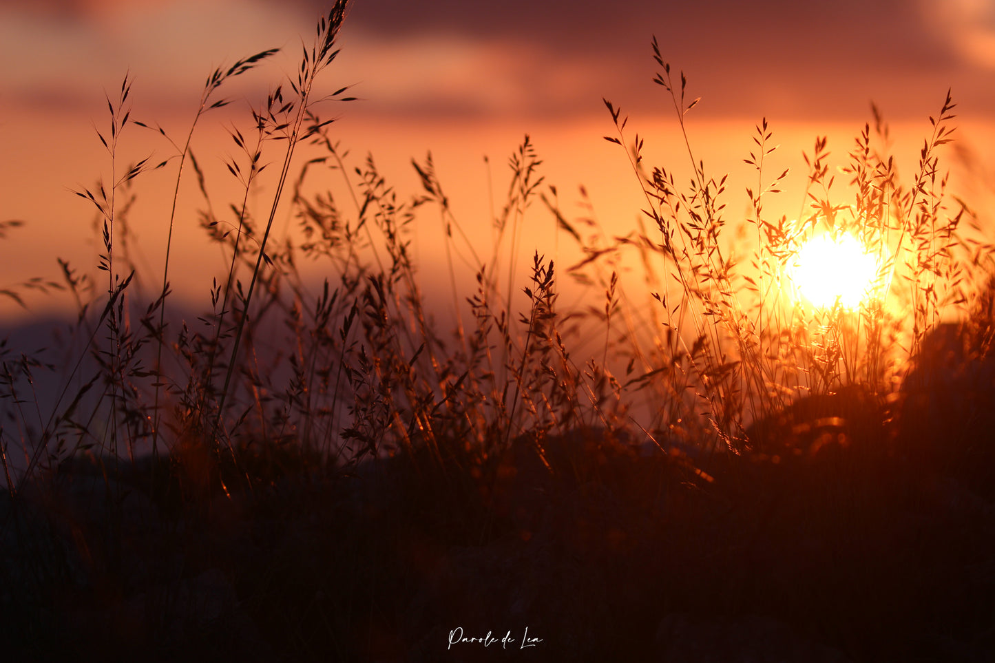 Coucher de soleil : photos au choix