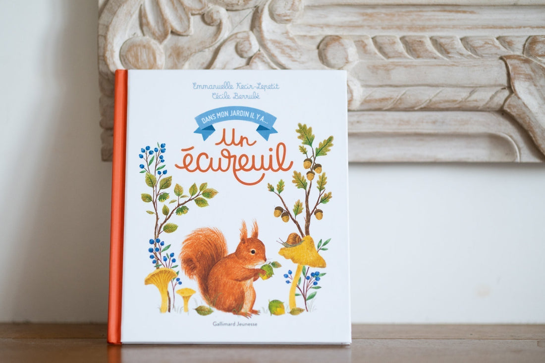 Avis : Dans mon jardin, il y a un écureuil
