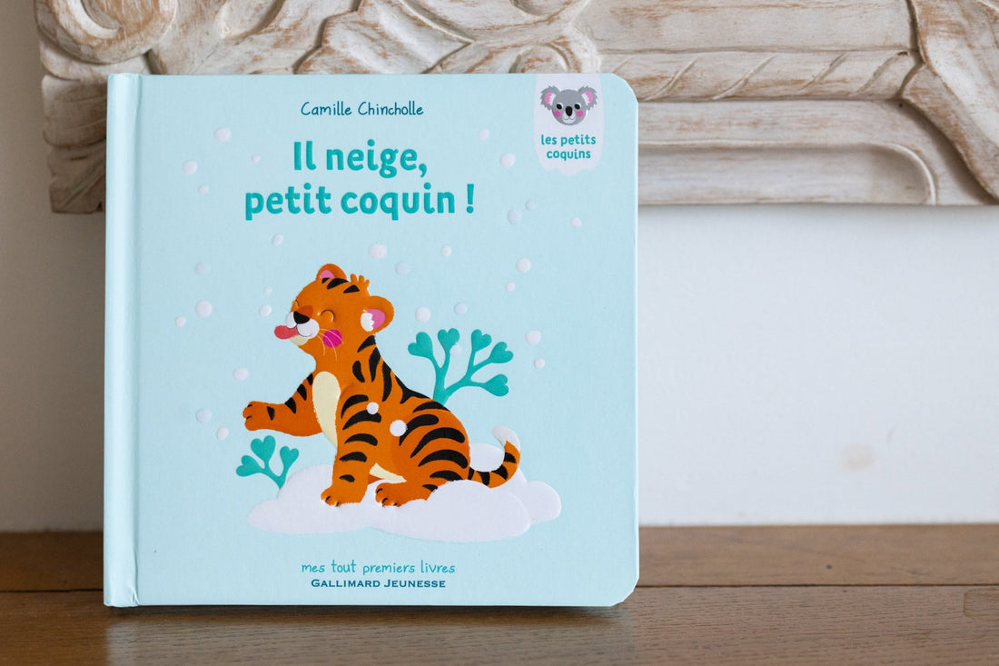 Avis : Il neige petit coquin !