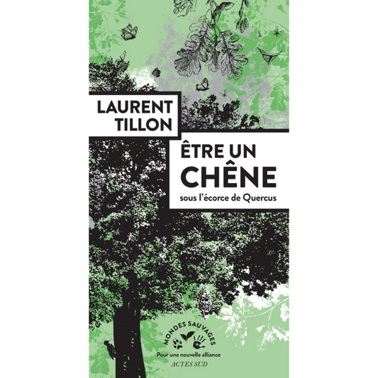 Être un chêne : mon avis