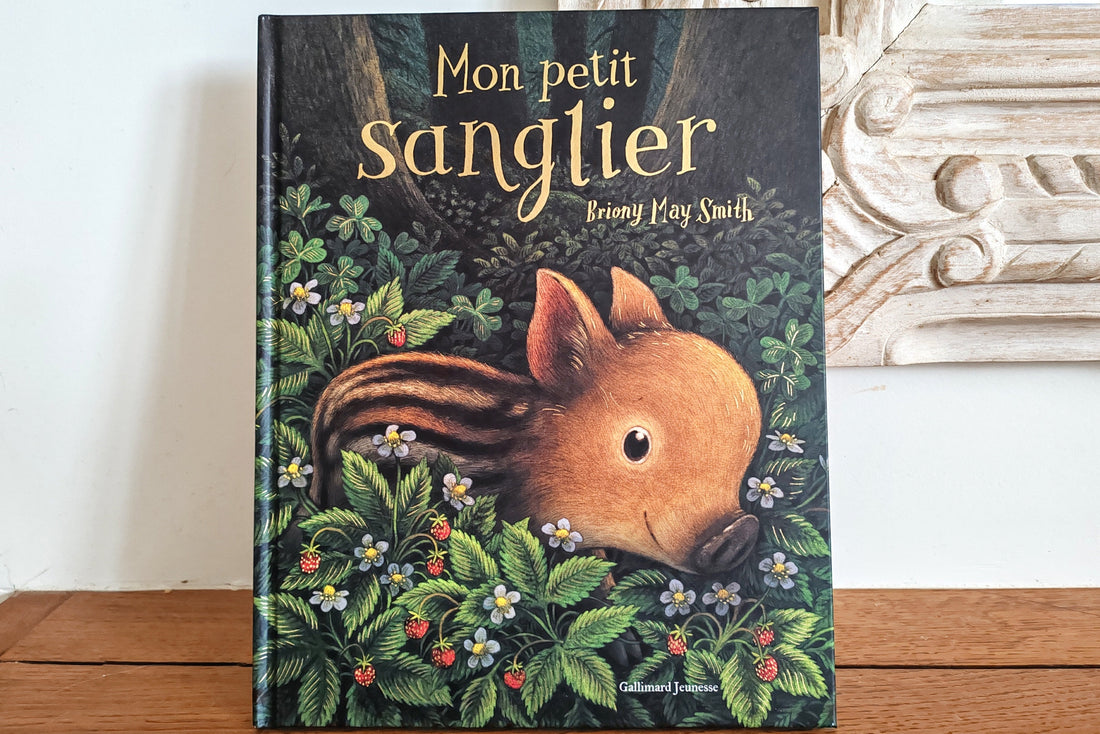 Avis : Mon petit sanglier de Briony May Smith
