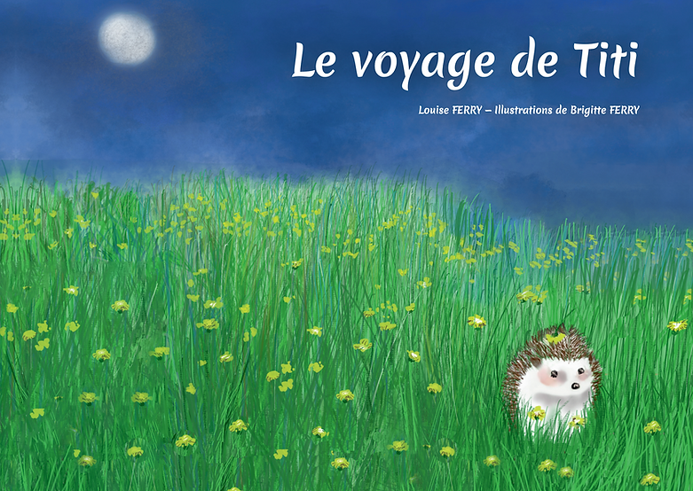 Le voyage de Titi : mon avis sur le livre