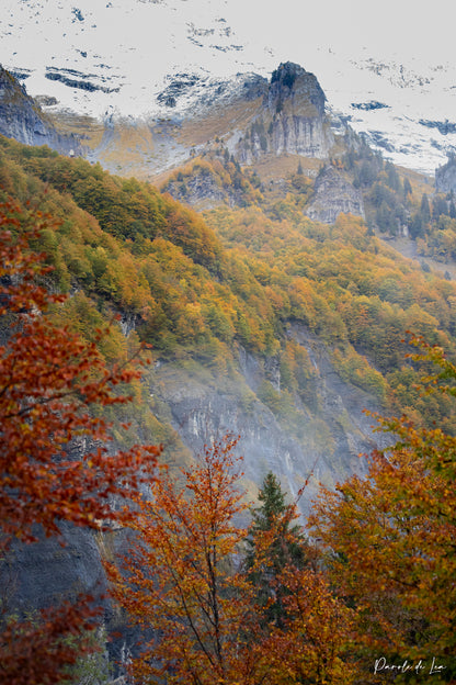 Automne : photos au choix