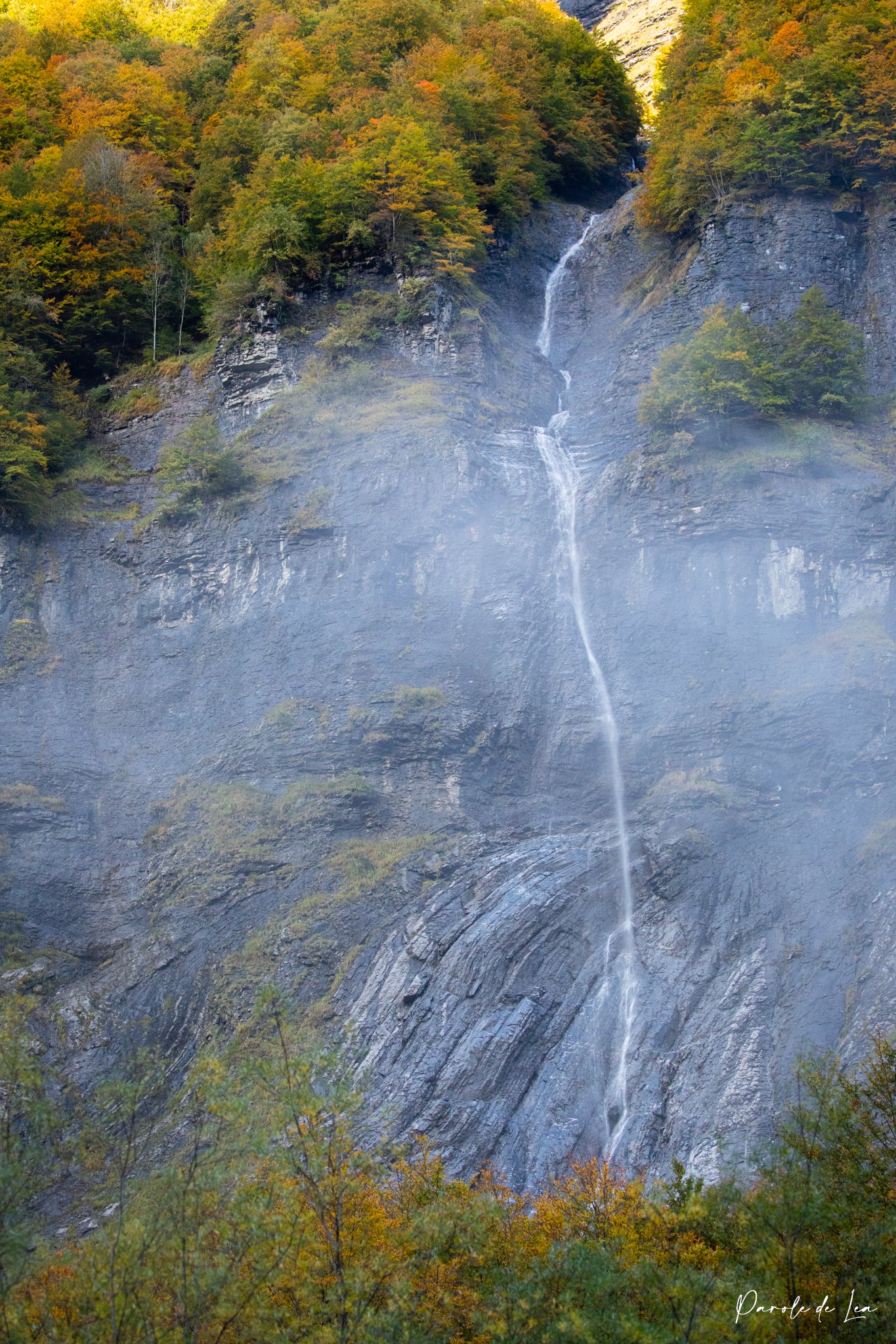 Automne : photos au choix