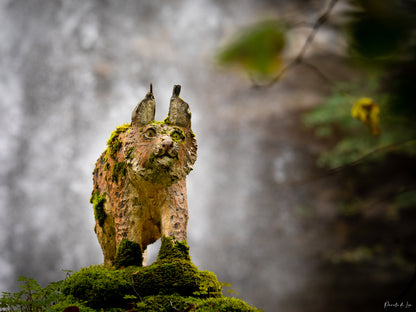 Lynx : statue